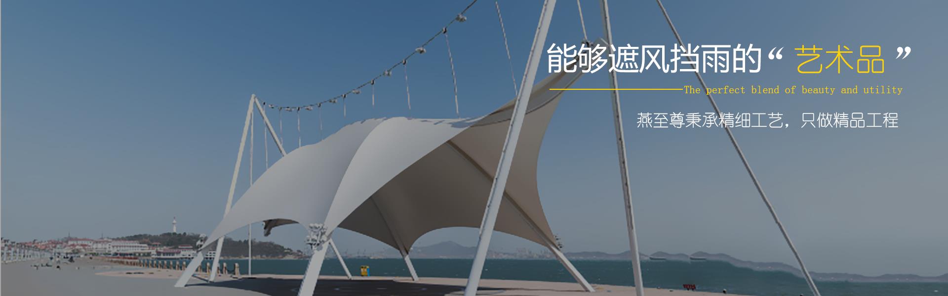 燕至尊膜结构